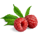 Raspberries