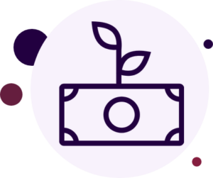 Elderberry Economics