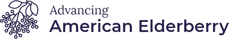 Advancing American Elderberry