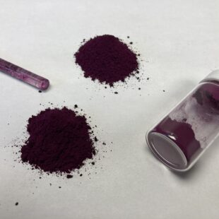 Elderberry Food Science
