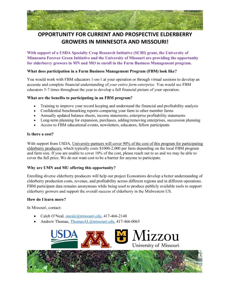 Elderberry Scri Fbm Recruitment 1 Pager