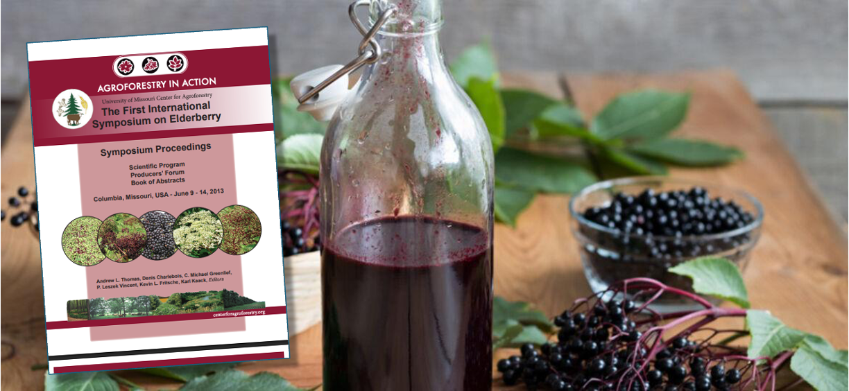 The First International Symposium on Elderberry 2013