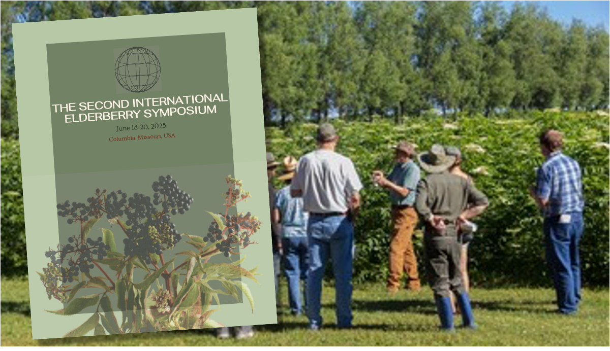 The Second International Elderberry Symposium 2025